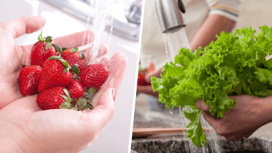 تصویر روش صحیح ضدعفونی میوه و سبزیجات