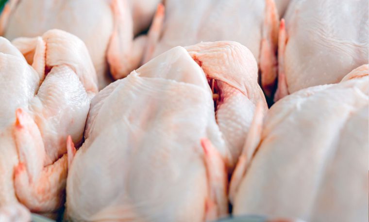 مضرات شستن گوشت مرغ