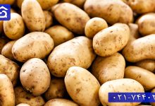 تصویر رژیم ۹ روزه سیب زمینی