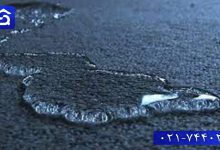 تصویر چگونه بوی بد فرش خیس را از بین ببریم؟