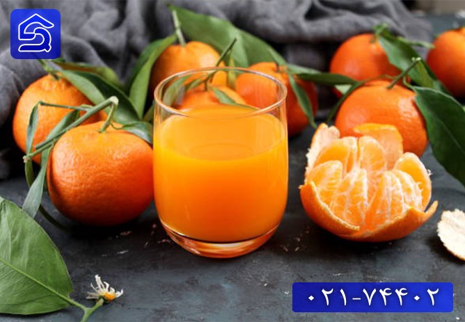 طرز تهیه آب میوه نارنگی