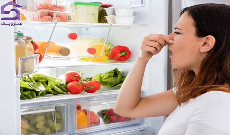 باز کردن یخچال و احساس بوی بد داخل یخچال