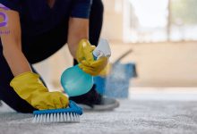 تصویر تمیز کردن فرش در منزل بدون شستن [از ماشینی تا دستباف]