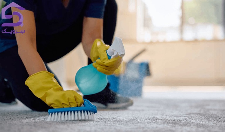 تمیز کردن لکه فرش بدون شستن با اسپری و برس دستی