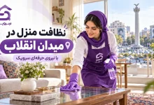 تصویر نظافت منزل در میدان انقلاب؛ نظافت خانه بدون معطلی و دردسر